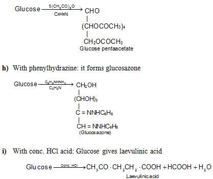 Biomolecules Class 11 Notes Biology Chapter 9