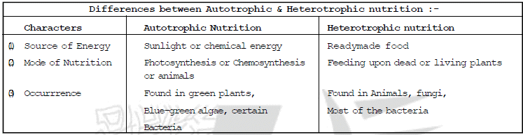 Life Processes Class 10 Notes Science Chapter 5