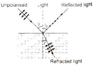 Polarization of Light | Physics Class 12 - NEET