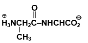 Single Correct MCQs: Biomolecules | Question Bank for JEE Main & Advanced (350+ Tests)