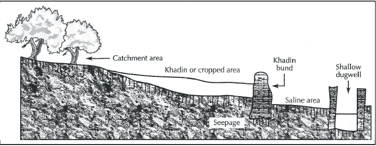 Water Harvesting, Coal & Petroleum | Science for Super TET