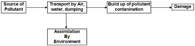 Environmental Chemistry Class 11 Notes Chemistry Chapter 14