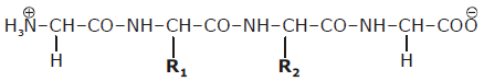 Previous Year Questions - Biomolecules (IIT - JEE Advanced)