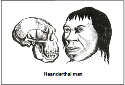 Origin & Evolution of Man | Biology for ACT