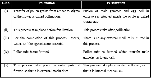Sexual Reproduction in Flowering Plants, Chapter Notes, Class 12, Biology, Part -2