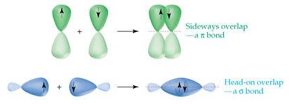 Chemical Bonding & Molecular Structure Class 11 Notes Chemistry Chapter 4