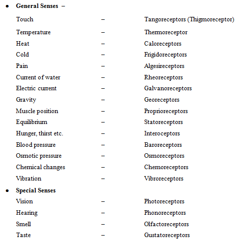 The Tongue & Ear | Biology A-Level - A Level