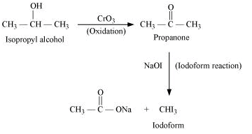 NCERT Solutions Class 12 Chemistry Chapter 6 - Haloalkanes & Haloarenes