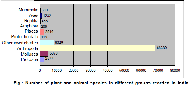 biology