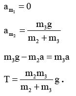 JEE Advanced (One or More Correct Option): Laws of Motion | Chapter-wise Tests for JEE Main & Advanced