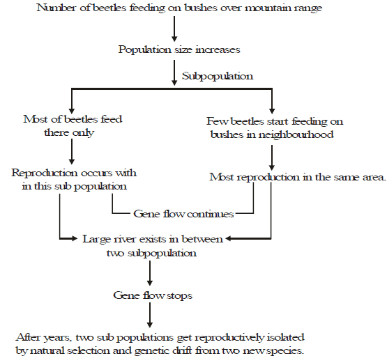 Speciation, Evolution & Classification - Class 10
