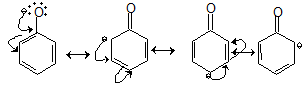 General Organic Chemistry Class 11 Notes Chemistry