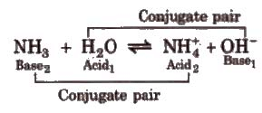 Indicators, Acids, Bases & Salts | Chemistry Class 11 - NEET