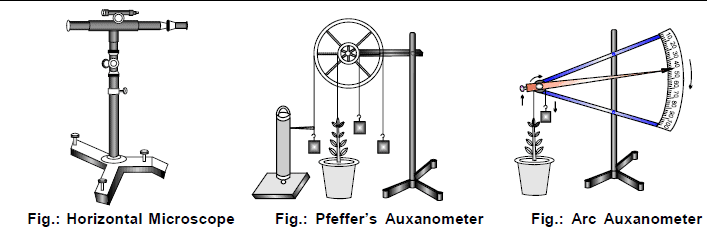 Plant Growth and Growth Hormones, Chapter Notes, Class 11, Biology PDF ...