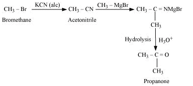 NCERT Solutions Class 12 Chemistry Chapter 6 - Haloalkanes & Haloarenes