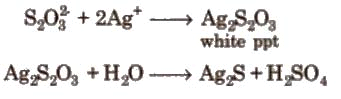 Group-16 Elements: Oxygen Family | Chemistry Class 12 - NEET