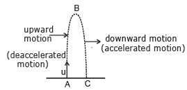 Motion under Gravity - JEE