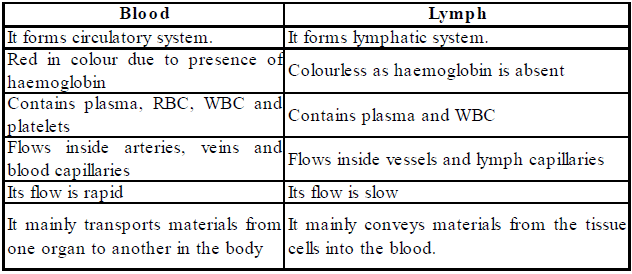 Transportation in Human Beings: Blood Pressure & Lymphatic System - Class 10