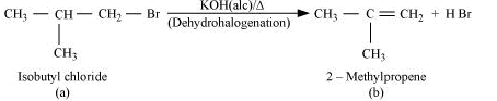 NCERT Solutions Class 12 Chemistry Chapter 6 - Haloalkanes & Haloarenes