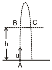 Motion under Gravity - JEE