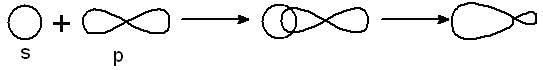 Chemical Bonding & Molecular Structure Class 11 Notes Chemistry Chapter 4