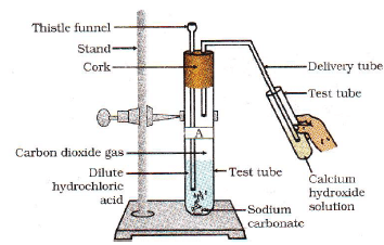 Physical and Chemical Properties of Acids - Class 10