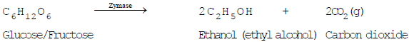Some Important Carbon Compounds – Ethanol And Ethanoic Acid | Science Class 10