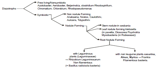 Important,Chapter,Notes,Mineral,Nutrition,Class,11,Biology