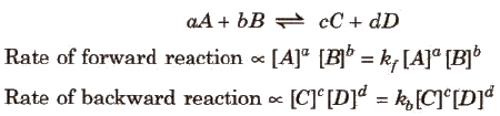Law of Chemical Equilibrium & Equilibrium Constant | Chemistry Class 11 - NEET