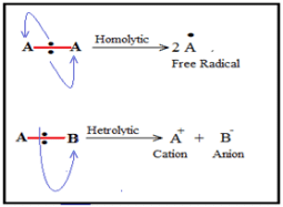 General Organic Chemistry Class 11 Notes Chemistry