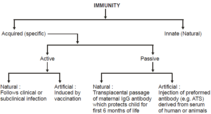 Chapter Notes - Immunity and Disease, Class 12, Biology (AIPMT)