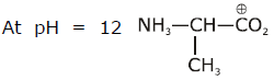 Previous Year Questions - Biomolecules (IIT - JEE Advanced)