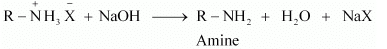NCERT Solutions Class 12 Chemistry Chapter 9 - Amines