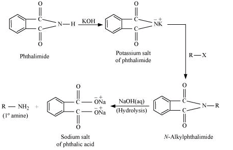 NCERT Solutions Class 12 Chemistry Chapter 9 - Amines