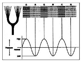 Propagation and Production of Sound | Science Class 9