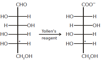 Previous Year Questions - Biomolecules (IIT - JEE Advanced)