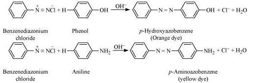 NCERT Solutions Class 12 Chemistry Chapter 9 - Amines