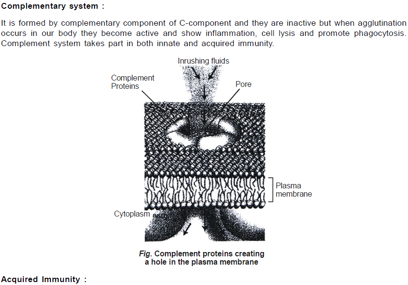 Chapter Notes - Immunity and Disease, Class 12, Biology (AIPMT)