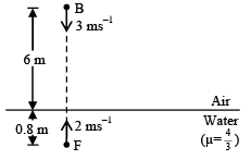 JEE Advanced (One or More Correct Option): Ray & Wave Optics | Chapter-wise Tests for JEE Main & Advanced