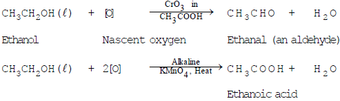 Chemical Properties of Carbon & its Compounds | Science Class 10