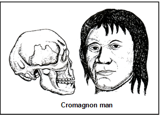 Origin & Evolution of Man | Biology for ACT