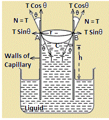 Liquids at Rest Class 11 Notes Physics