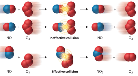 Chemical Kinetics Class 12 Notes Chemistry Chapter 3