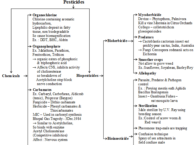 biology