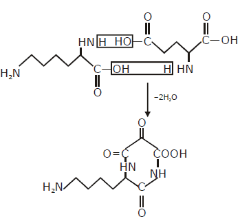 Previous Year Questions - Biomolecules (IIT - JEE Advanced)