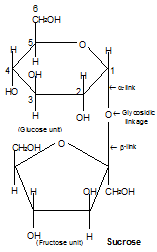 Biomolecules Class 11 Notes Biology Chapter 9