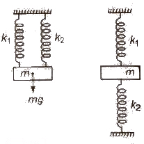 Simple Harmonic Motion | Physics Class 11 - NEET