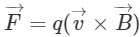 JEE Advanced (Assertion-Reason Type): Moving Charges & Magnetism | Chapter-wise Tests for JEE Main & Advanced