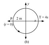 NCERT Solutions Class 11 Physics Chapter 13 - Oscillations