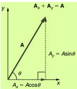 Kinematics Class 11 Notes Physics